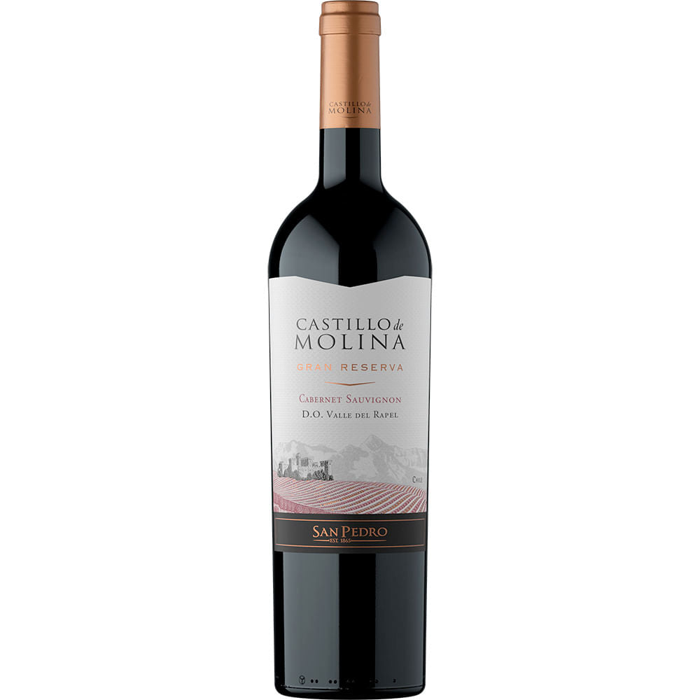 vino-castillo-de-molina-gran-rva-750-ml-cab-sauv