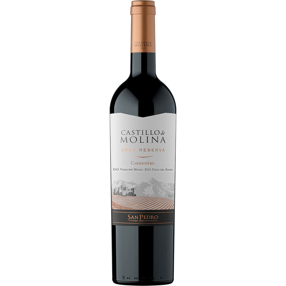 vino-castillo-de-molina-gran-rva-750-ml-carmenere