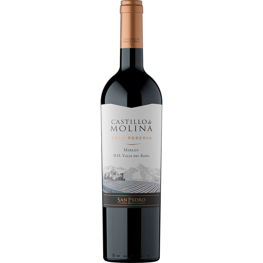 vino-castillo-de-molina-gran-rva-750-ml-merlot
