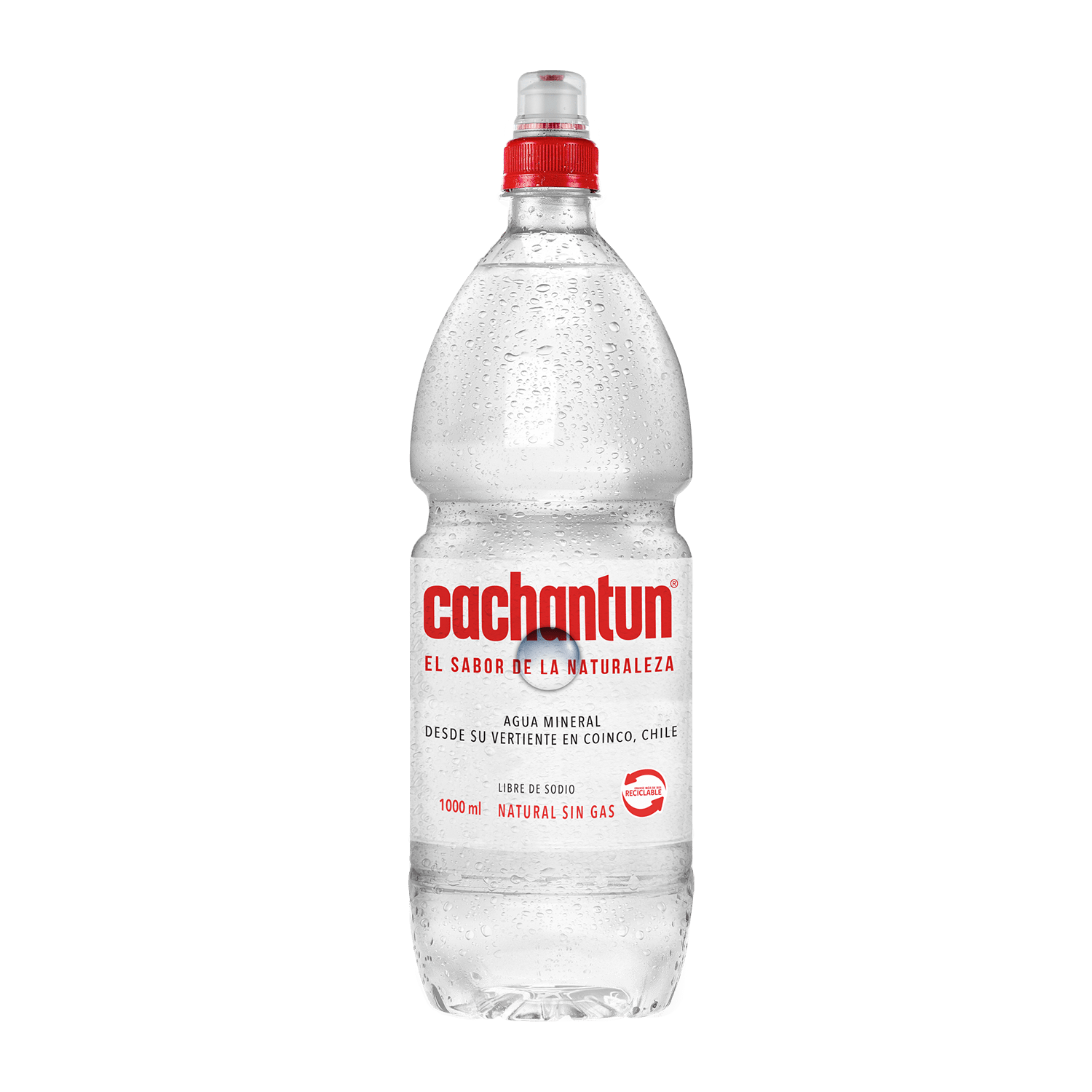 agua-mineral-cachantun-1-lt-sin-gas-pituto
